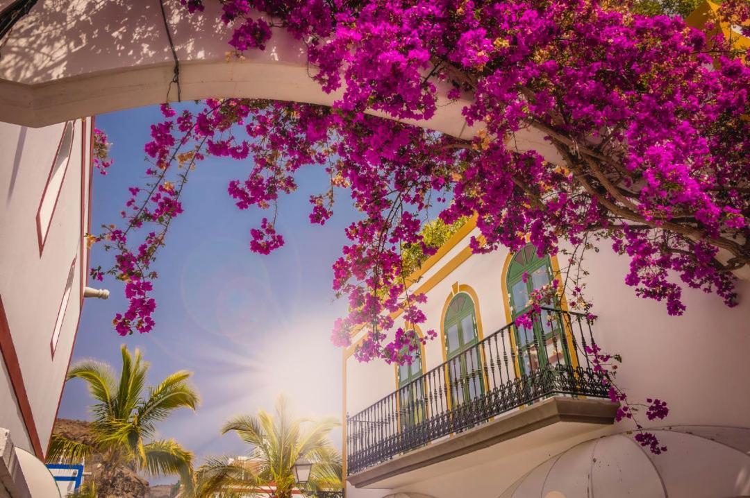 20 Metres From The Sea In Puerto De Mogan Apartment Luaran gambar